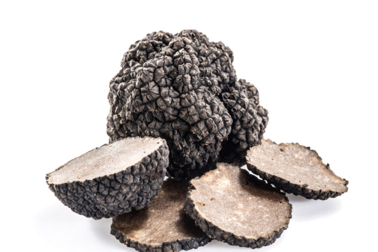 tartufo-nero