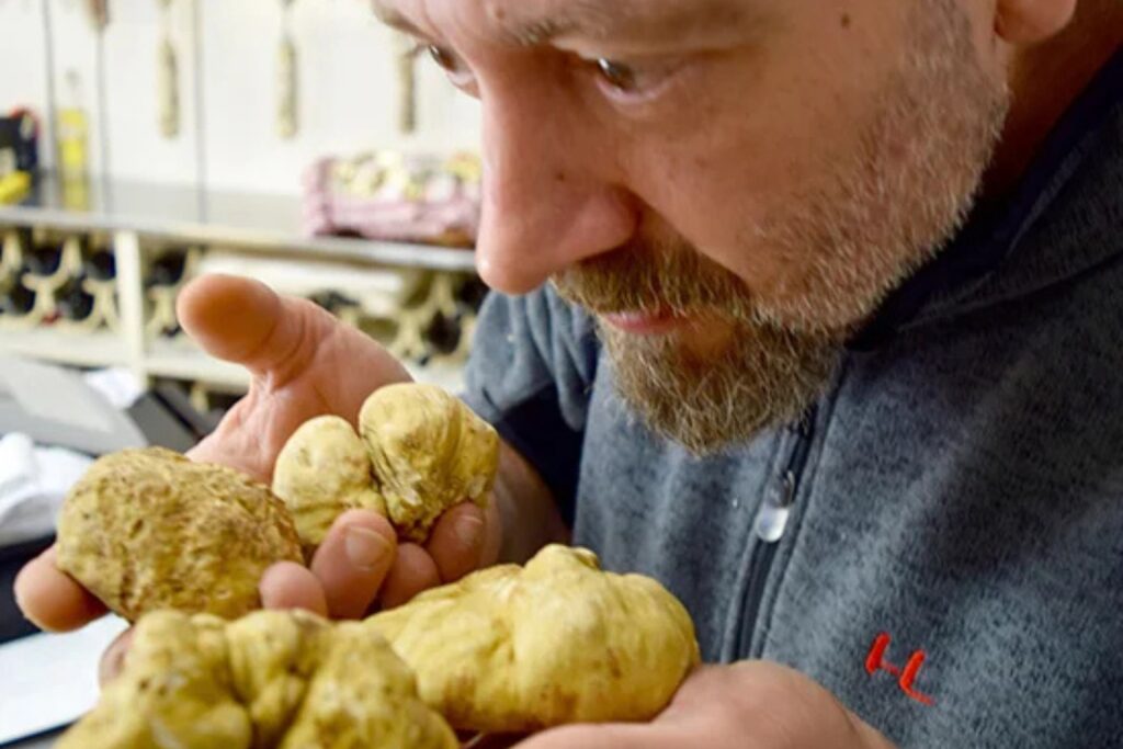 Tartufo Bianco d’Alba fresco selezionato da Tartufi Ratti