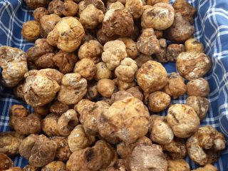 tartufiratti_foto2024_07