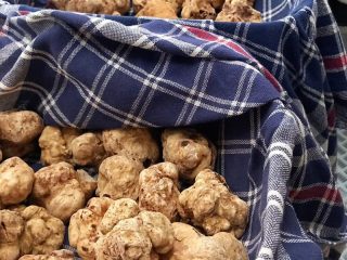 tartufiratti_foto2024_21