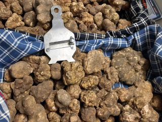 tartufiratti_foto2024_23